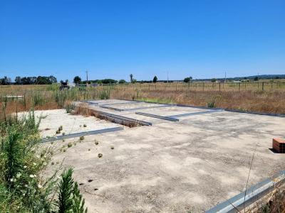 Almeirim, Santarem 2080-231, Portugal