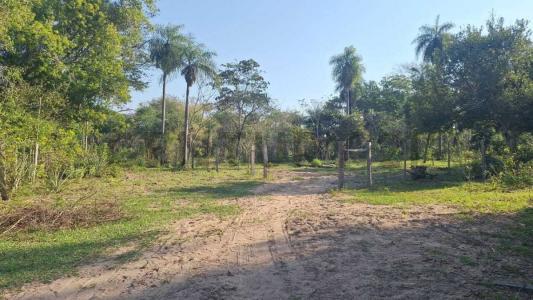 Nueva Colombia, Cordillera 00001, Le Paraguay