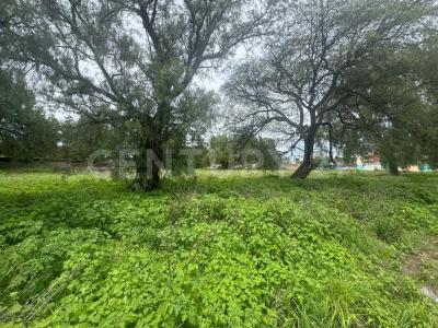 Mesquites S/N,, Tecámac, 멕시코 주 55744, 멕시코