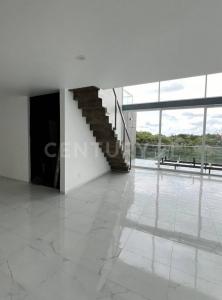 2da cerrada de Abraham Zepeda ,, Cuernavaca, מורלוס 62140, מקסיקו 