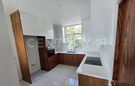 2da cerrada de Abraham Zepeda ,, Cuernavaca, מורלוס 62140, מקסיקו 