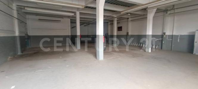 Miguel Hidalgo, Ciudad De México 11440, Messico