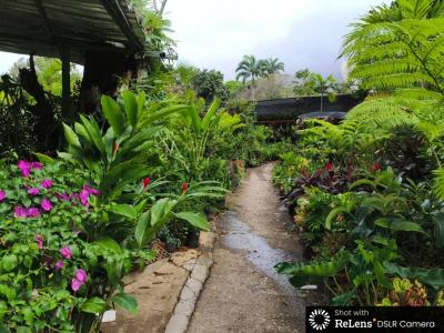 Av. Alegria Beracasa Terreno Nº 5, Caracas, Miranda 00001, Venezuela