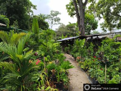 Av. Alegria Beracasa Terreno Nº 5, Caracas, Miranda 00001, Venezuela