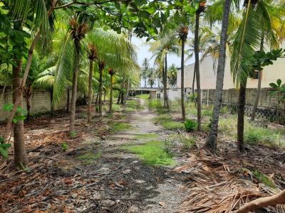 Tucacas, Falcón 2055, Venezuela