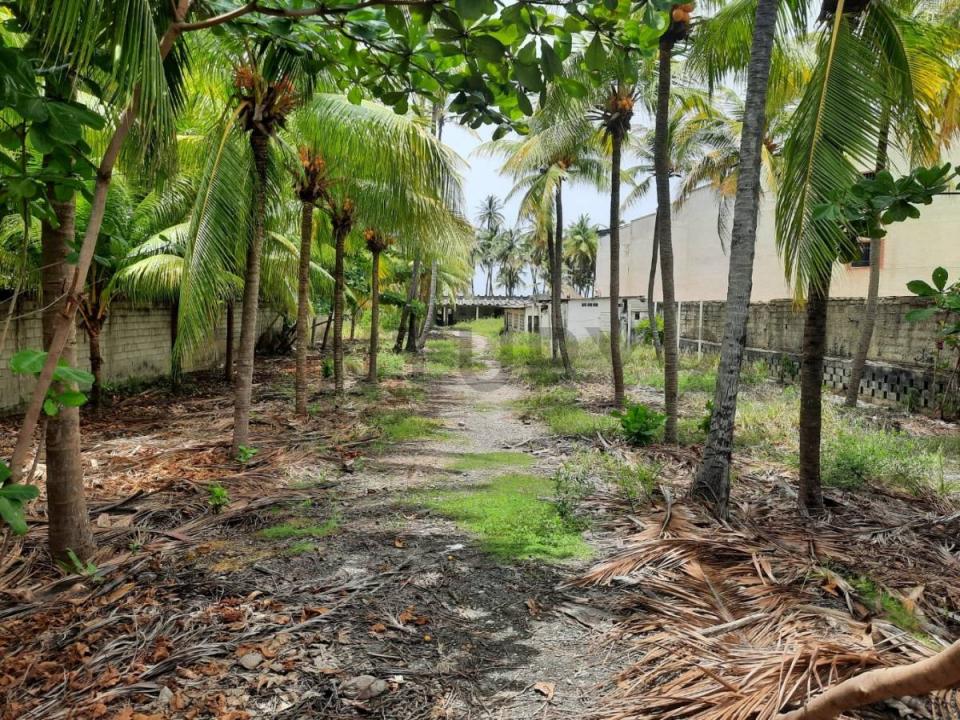 Tucacas, Falcón 2055, Venezuela