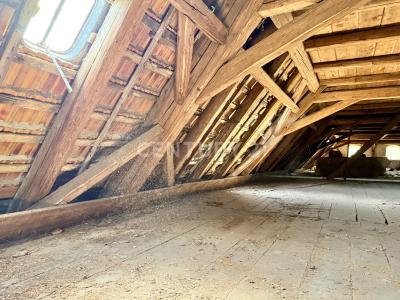 Dresden, Sachsen 01169, Alemania