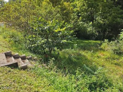 8835 Maple Road, Pound, Virginia 24279, USA