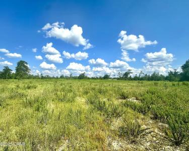 12810 HWY 231, Youngstown, Flórida 32466, Estados Unidos