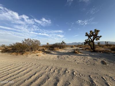 E Ave R8 Vic 145th Ste, Sun Village, Californie 93543, États-Unis