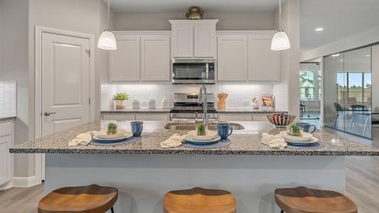 111 Castell Court, Rhome, Texas 76078, HOA KỲ