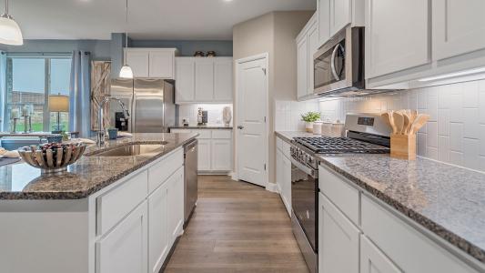 111 Castell Court, Rhome, Texas 76078, HOA KỲ