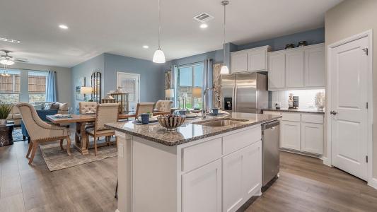 111 Castell Court, Rhome, Texas 76078, HOA KỲ