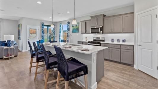 126 Castell Court, Rhome, Texas 76078, HOA KỲ