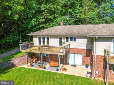 46 Rock Ridge Lane, Chester Gap, 維吉尼亞州 22623, 美國