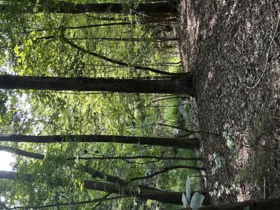 0000 Jewell Road, Reidsville, Carolina Do Norte 27320, Estados Unidos