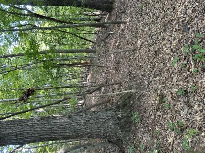 0000 Jewell Road, Reidsville, Carolina Do Norte 27320, Estados Unidos