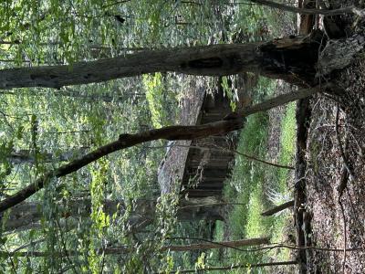 0000 Jewell Road, Reidsville, Carolina Do Norte 27320, Estados Unidos