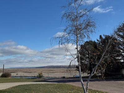 314 8th St., Springfield, דרום דקוטה 57062, ארצות הברית של אמריקה 