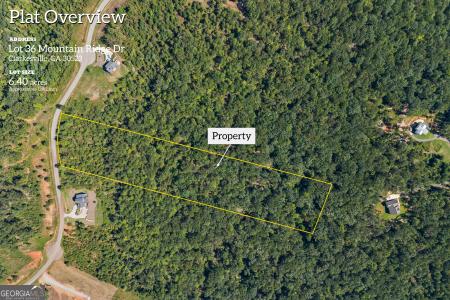 Lot 36 Mountain Ridge Dr., Clarkesville, Géorgie 30523, États-Unis