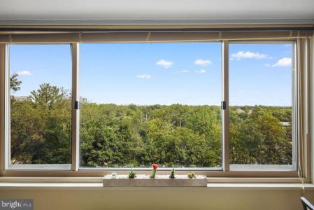 2500 N Van Dorn Street , 517, Alexandria, 維吉尼亞州 22302, 美國