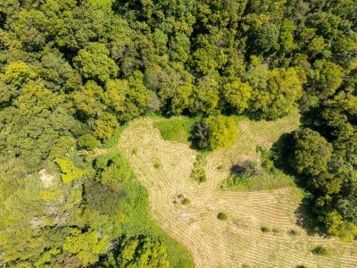 4125 Dry Creek Rd, Celina, 田纳西州 38551, 美国