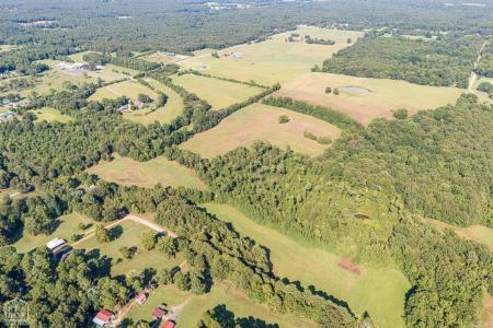 271 Greene 716 Road, Paragould, 阿肯色州 72450, 美国