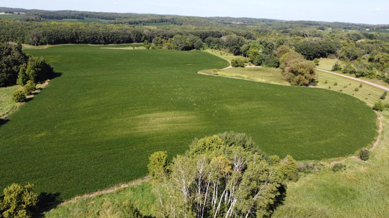 Xxxxx County Hwy 12, Dalton, 明尼苏达州 56324, 美国