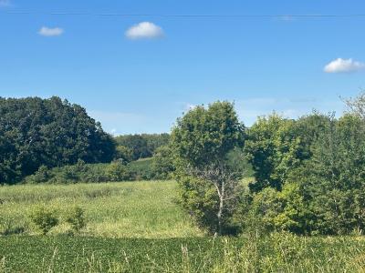 Xxxxx County Hwy 12, Dalton, 明尼苏达州 56324, 美国