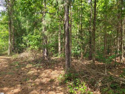 Deer Valley, Waterloo, South Carolina 29384