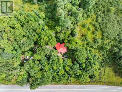17812 HIGHWAY 35, Algonquin Highlands (stanhope), Ontario K0M 1S0, Canadá