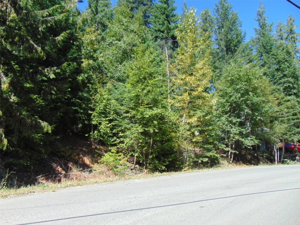 WAVERLY DRIVE, Blind Bay, Colombie-Britannique V0E 1H2, Canada