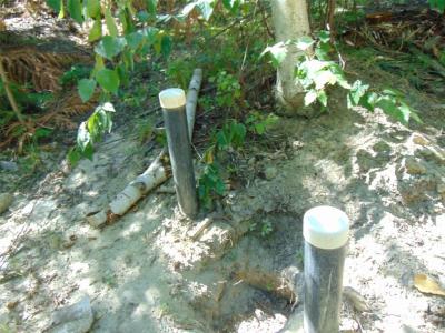 WAVERLY DRIVE, Blind Bay, Colombie-Britannique V0E 1H2, Canada