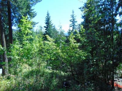 WAVERLY DRIVE, Blind Bay, Colombie-Britannique V0E 1H2, Canada