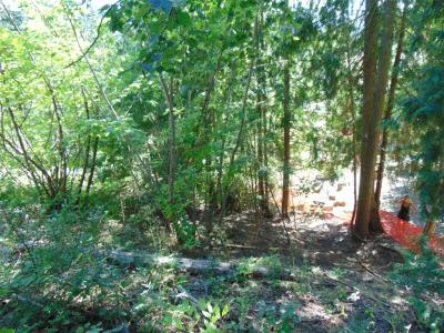 WAVERLY DRIVE, Blind Bay, Colombie-Britannique V0E 1H2, Canada