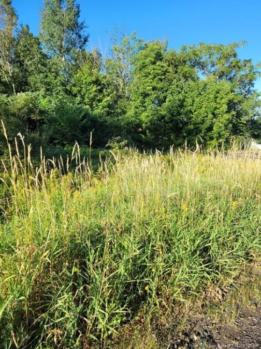 N/A MARK STREET, Grafton, New Brunswick E7N 1N9, Canada