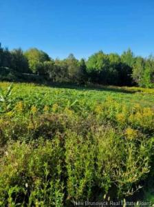 89-38 PARKHURST DRIVE, Grafton, Nova Brunswick E7N 1N6, CANADÁ