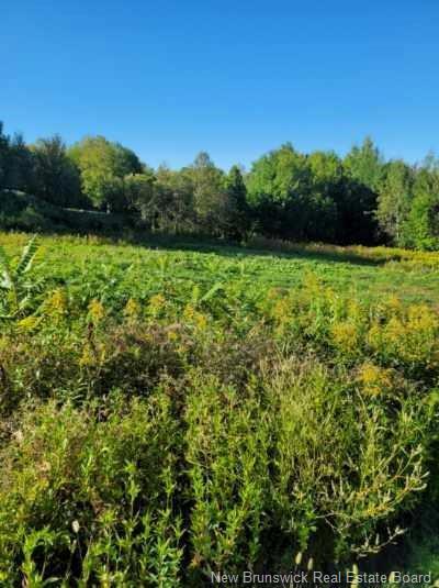 89-38 PARKHURST DRIVE, Grafton, Nova Brunswick E7N 1N6, CANADÁ