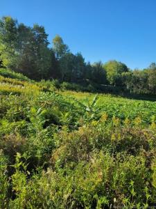 89-38 PARKHURST DRIVE, Grafton, Nova Brunswick E7N 1N6, CANADÁ