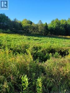 89-38 PARKHURST DRIVE, Grafton, New Brunswick E7N 1N6, Canada