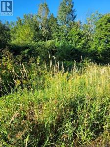 N/A MARK STREET, Grafton, New Brunswick E7N 1N9, Canadá