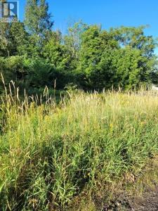 N/A MARK STREET, Grafton, New Brunswick E7N 1N9, Canadá