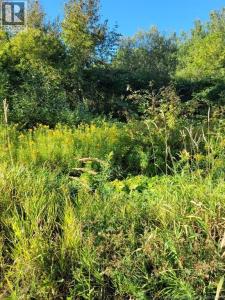 N/A MARK STREET, Grafton, New Brunswick E7N 1N9, Canadá