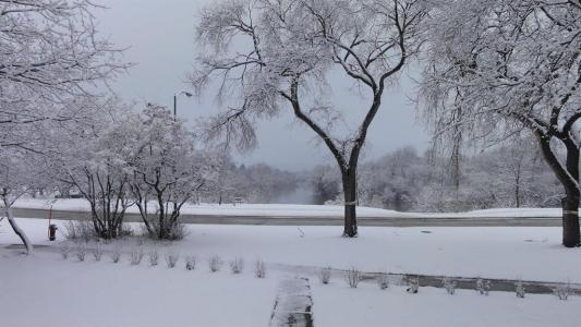 1670 WELLINGTON CRESCENT, Winnipeg, Manitoba R3N 0B4, Canada