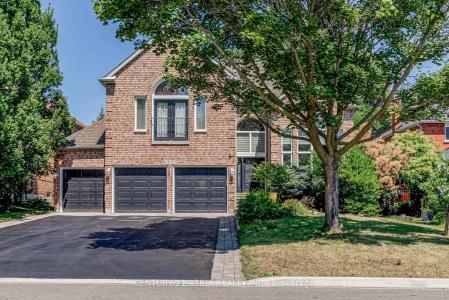 331 BINNS AVENUE, Newmarket, Ontario L3X 1T6, Kanada