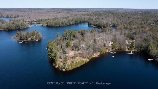 45 FIRE ROUTE 223 N/A, Trent Lakes, Ontario K0L 1J0, Canadá