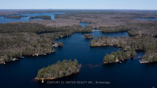 45 FIRE ROUTE 223 N/A, Trent Lakes, Ontario K0L 1J0, Canadá