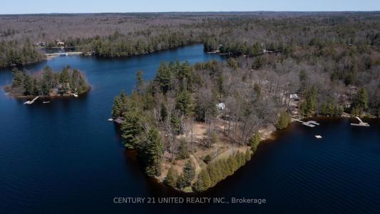 45 FIRE ROUTE 223 N/A, Trent Lakes, Ontario K0L 1J0, Canadá