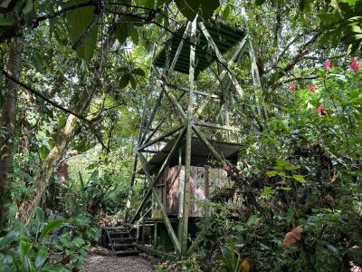 Golfito Golfito, Puntarenas 00001, Costa Rica