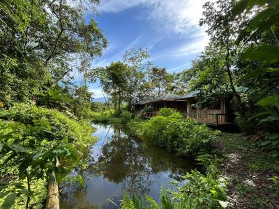 Golfito Golfito, Puntarenas 00001, Costa Rica